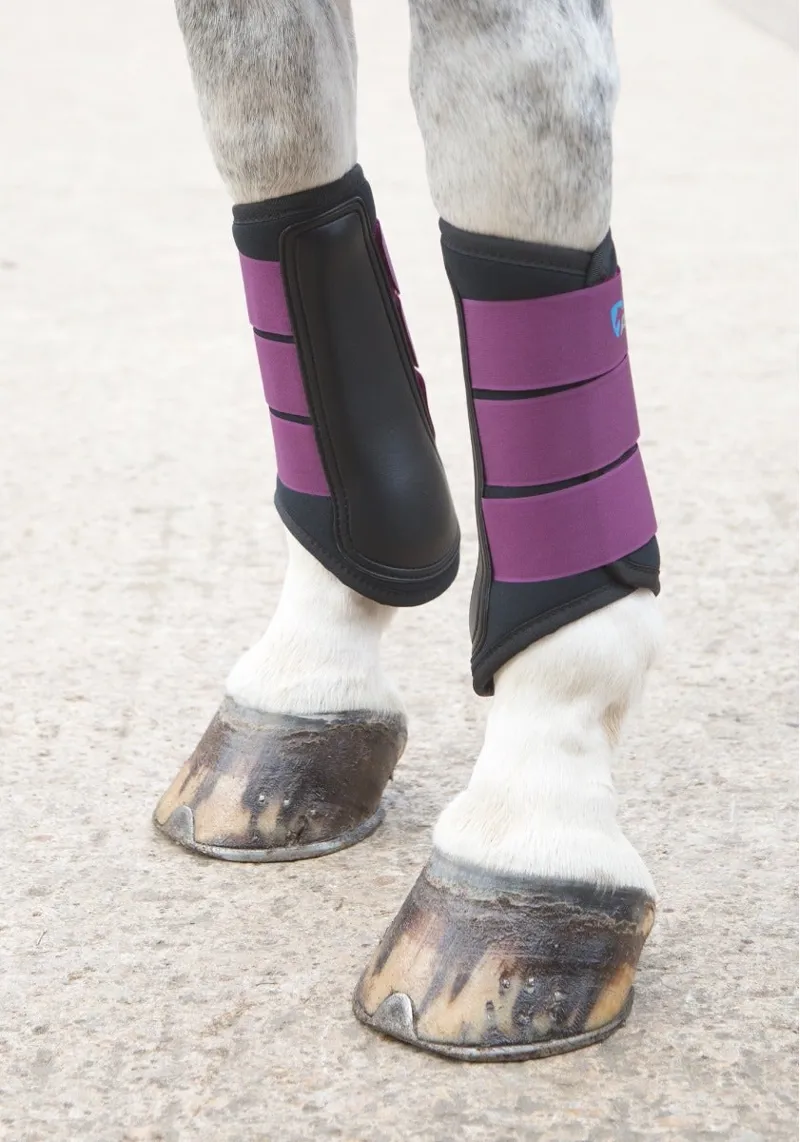 ARMA Neoprene Brushing Boots in Plum-1
